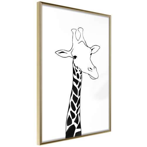 Poster - Black and White Giraffe 30x45