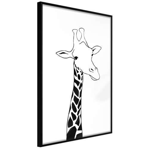 Poster - Black and White Giraffe 20x30