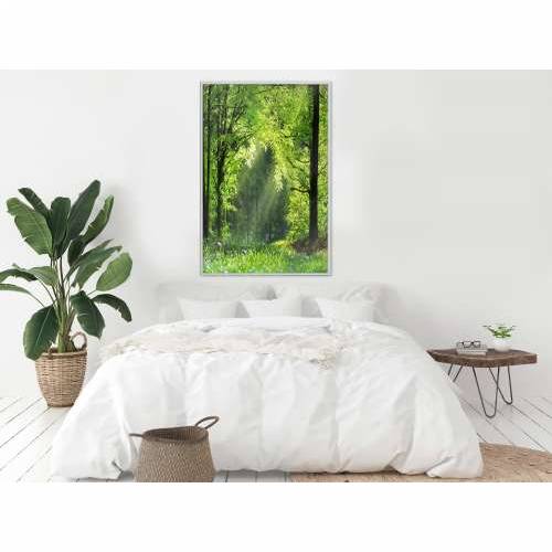 Poster - Forest Path 30x45 Cijena