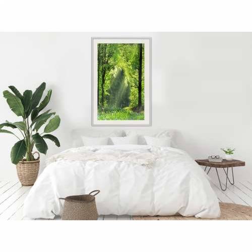 Poster - Forest Path 30x45 Cijena