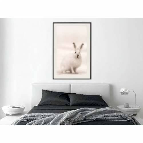 Poster - Curious Rabbit 40x60 Cijena