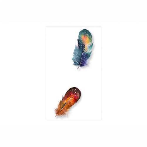 Foto tapeta - Colorful Feathers 50x1000 Cijena