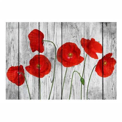 Foto tapeta - Tale of Red Poppies 250x175 Cijena