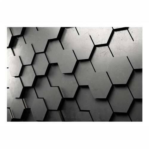 Foto tapeta - Black Gate 250x175 Cijena