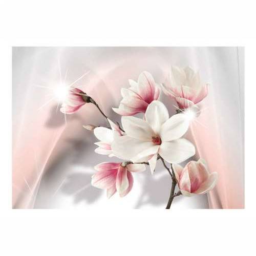 Foto tapeta - White magnolias 200x140 Cijena