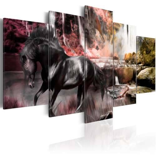 Slika - Black horse on crimson sky background 100x50 Cijena