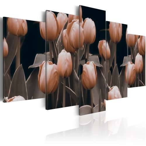 Slika - Tulips in sepia 100x50 Cijena