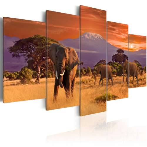 Slika - Africa: Elephants 100x50 Cijena