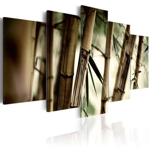 Slika - Asian bamboo forest 100x50 Cijena