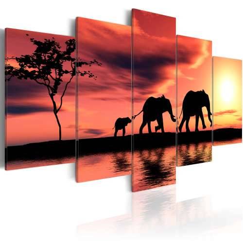 Slika - African elephants family 100x50