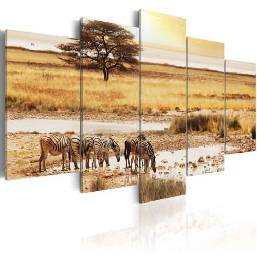 Slika - Zebras on a savannah 100x50
