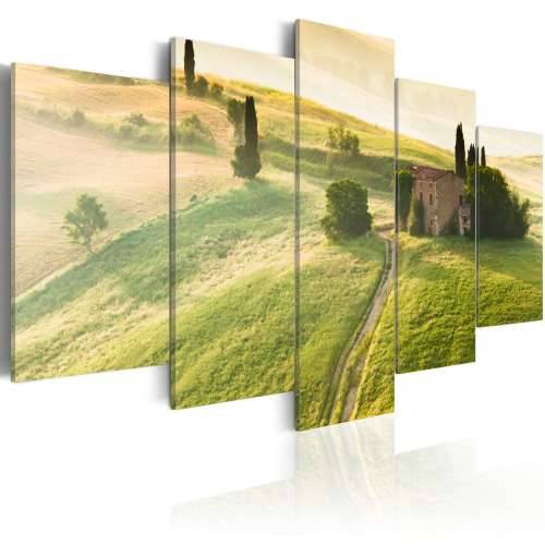 Slika - Green Tuscany 100x50 Cijena