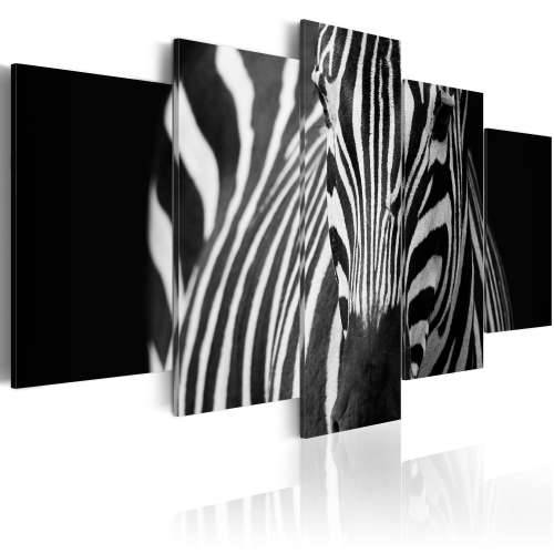 Slika - Zebra look 100x50 Cijena
