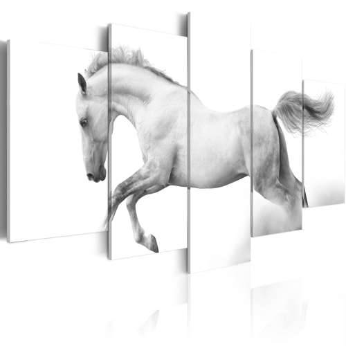 Slika - Horse- passion and freedom 100x50 Cijena