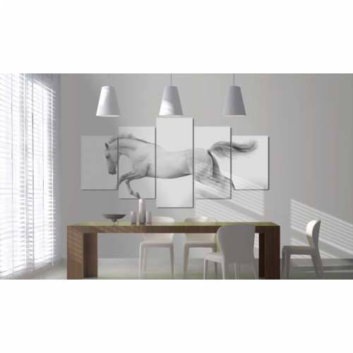 Slika - Horse- passion and freedom 200x100 Cijena