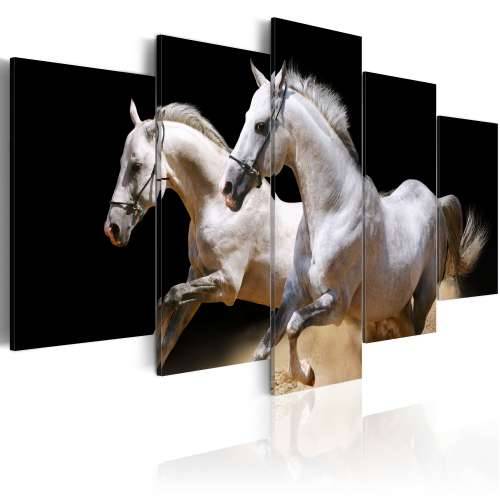 Slika - Gallop- freedom and power 100x50 Cijena