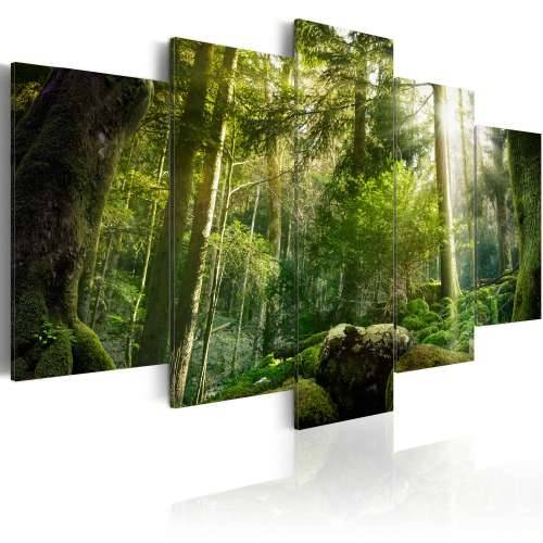 Slika -  The Beauty of the Forest 100x50 Cijena