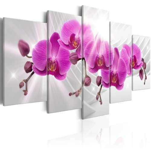 Slika - Abstract Garden: Pink Orchids 100x50 Cijena