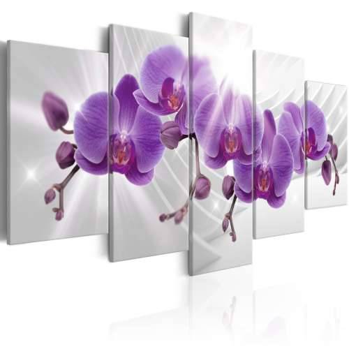 Slika - Abstract Garden: Purple Orchis 200x100 Cijena