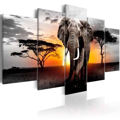 Slika - Elephant at Sunset 200x100 Cijena