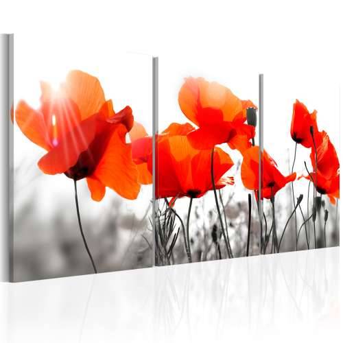 Slika - Charming Poppies 120x60 Cijena