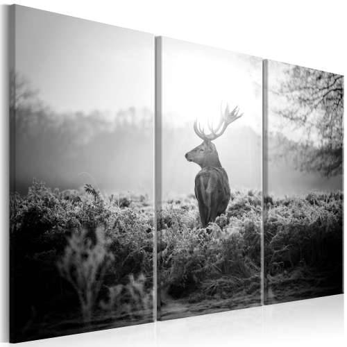 Slika - Black and White Deer I 90x60 Cijena
