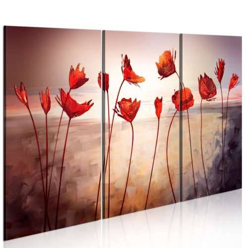 Slika - Bright red poppies 120x80 Cijena