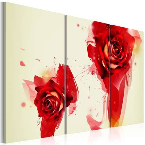 Slika - A new look on a rose 120x80 Cijena