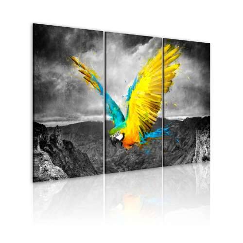 Slika - Bird-of-paradise 120x80 Cijena