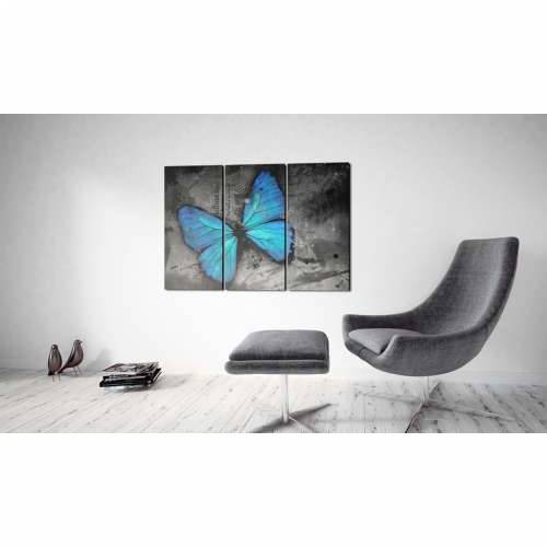 Slika - The study of butterfly - triptych 120x80 Cijena