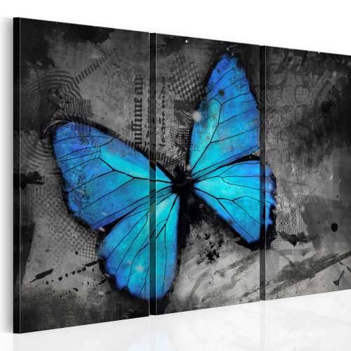 Slika - The study of butterfly - triptych 60x40 Cijena