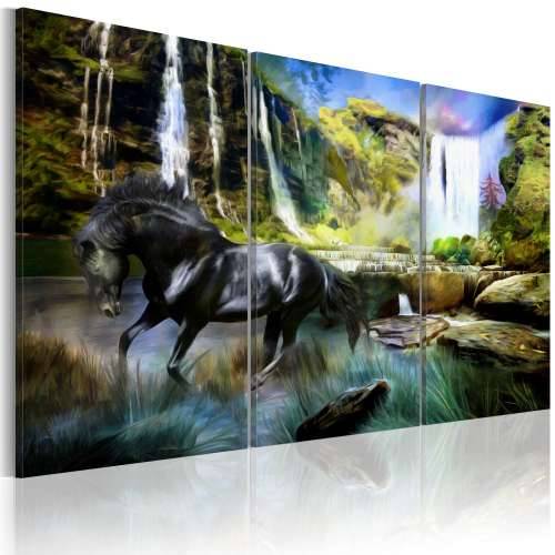 Slika - Horse on the sky-blue waterfall background 120x80 Cijena