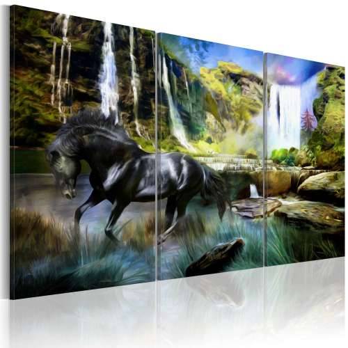 Slika - Horse on the sky-blue waterfall background 60x40 Cijena