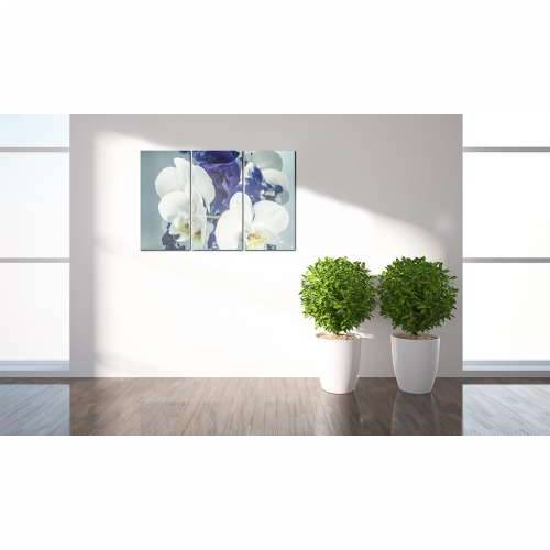 Slika - Chimerical orchids 120x80 Cijena