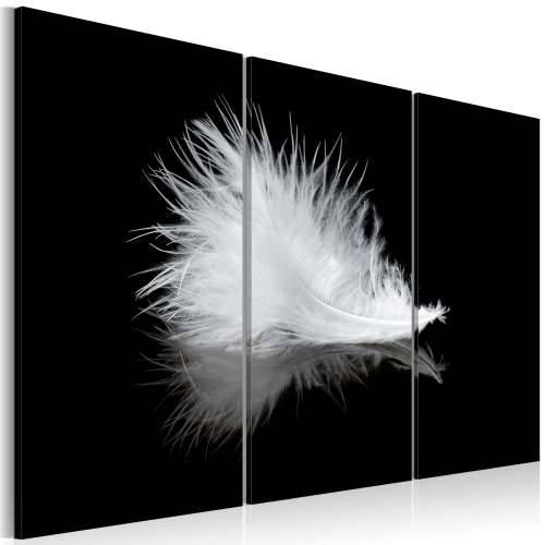 Slika - A small feather 120x80 Cijena