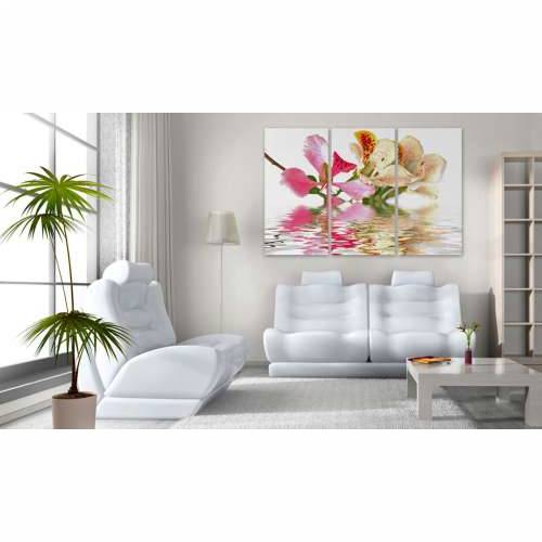 Slika - Orchid with colorful spots 120x80 Cijena