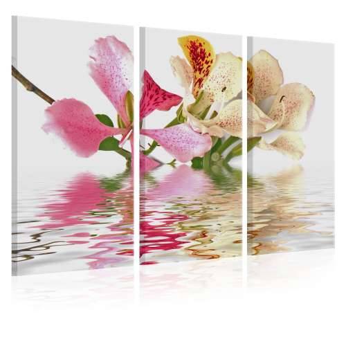 Slika - Orchid with colorful spots 90x60 Cijena