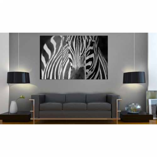 Slika - Mrs. Zebra 120x80 Cijena