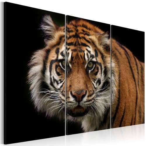 Slika - A wild tiger 120x80 Cijena