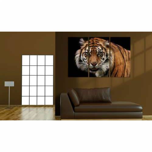 Slika - A wild tiger 90x60 Cijena