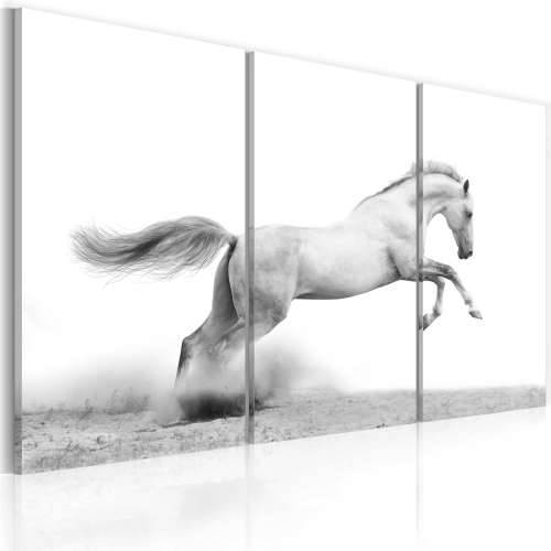 Slika - A galloping horse 120x80 Cijena