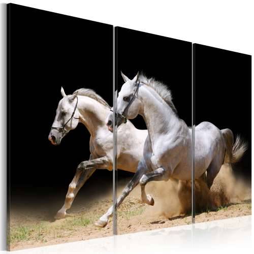 Slika - Horses- power and velocity 120x80 Cijena