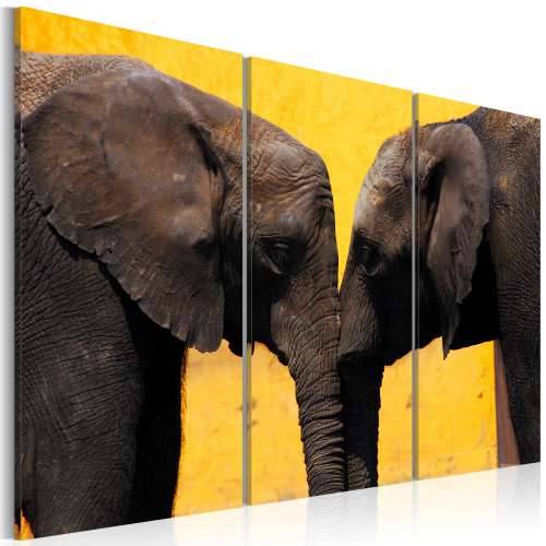 Slika - Elephant kiss 120x80 Cijena