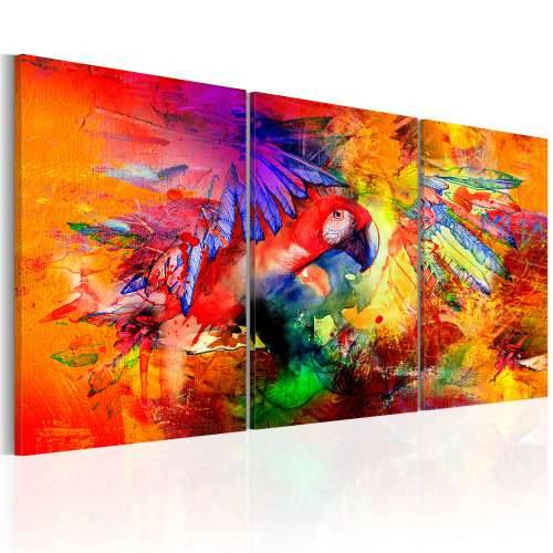 Slika - Colourful Parrot 120x60