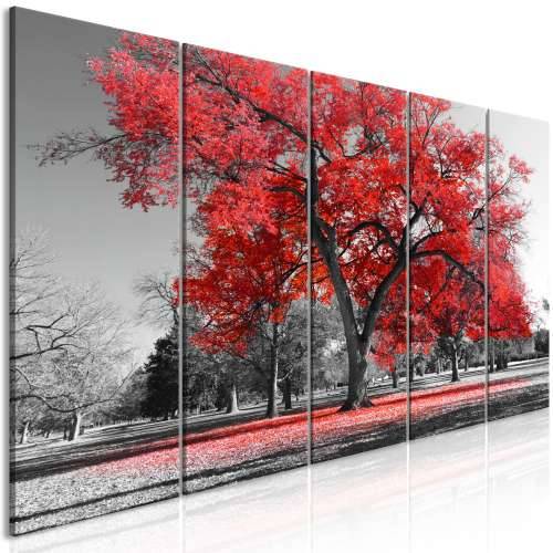 Slika - Autumn in the Park (5 Parts) Narrow Red 200x80 Cijena