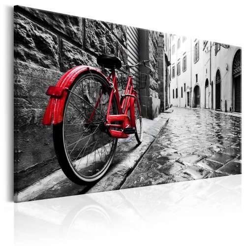 Slika - Vintage Red Bike 120x80 Cijena