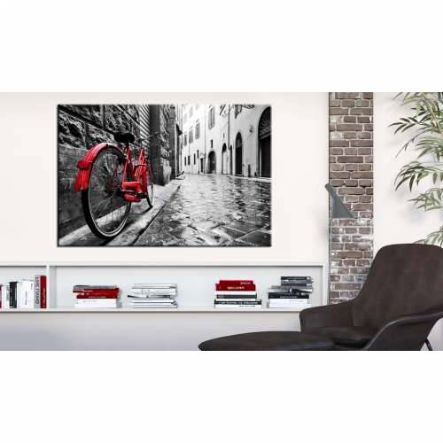 Slika - Vintage Red Bike 120x80 Cijena