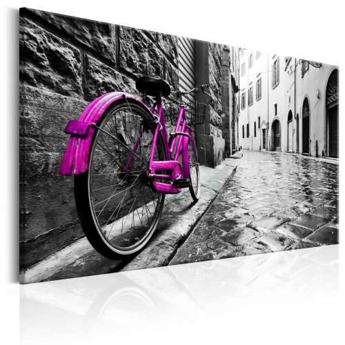 Slika - Vintage Pink Bike 60x40 Cijena
