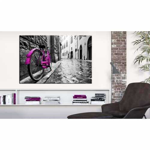 Slika - Vintage Pink Bike 120x80 Cijena