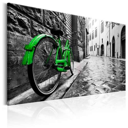 Slika - Vintage Green Bike 60x40 Cijena